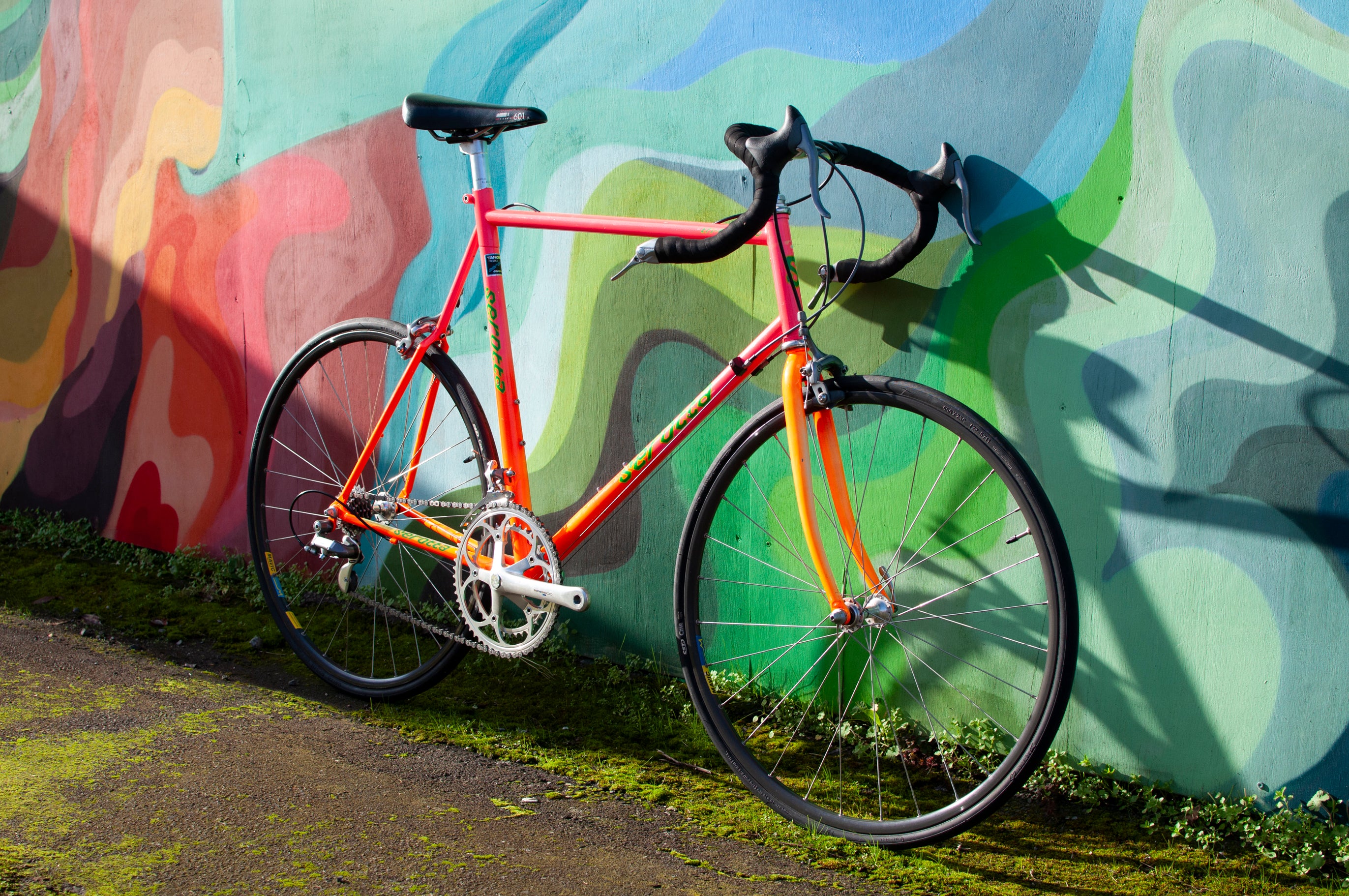 Early 90s Serotta Tri-Colorado Tange Prestige/Shimano 600 Ultegra