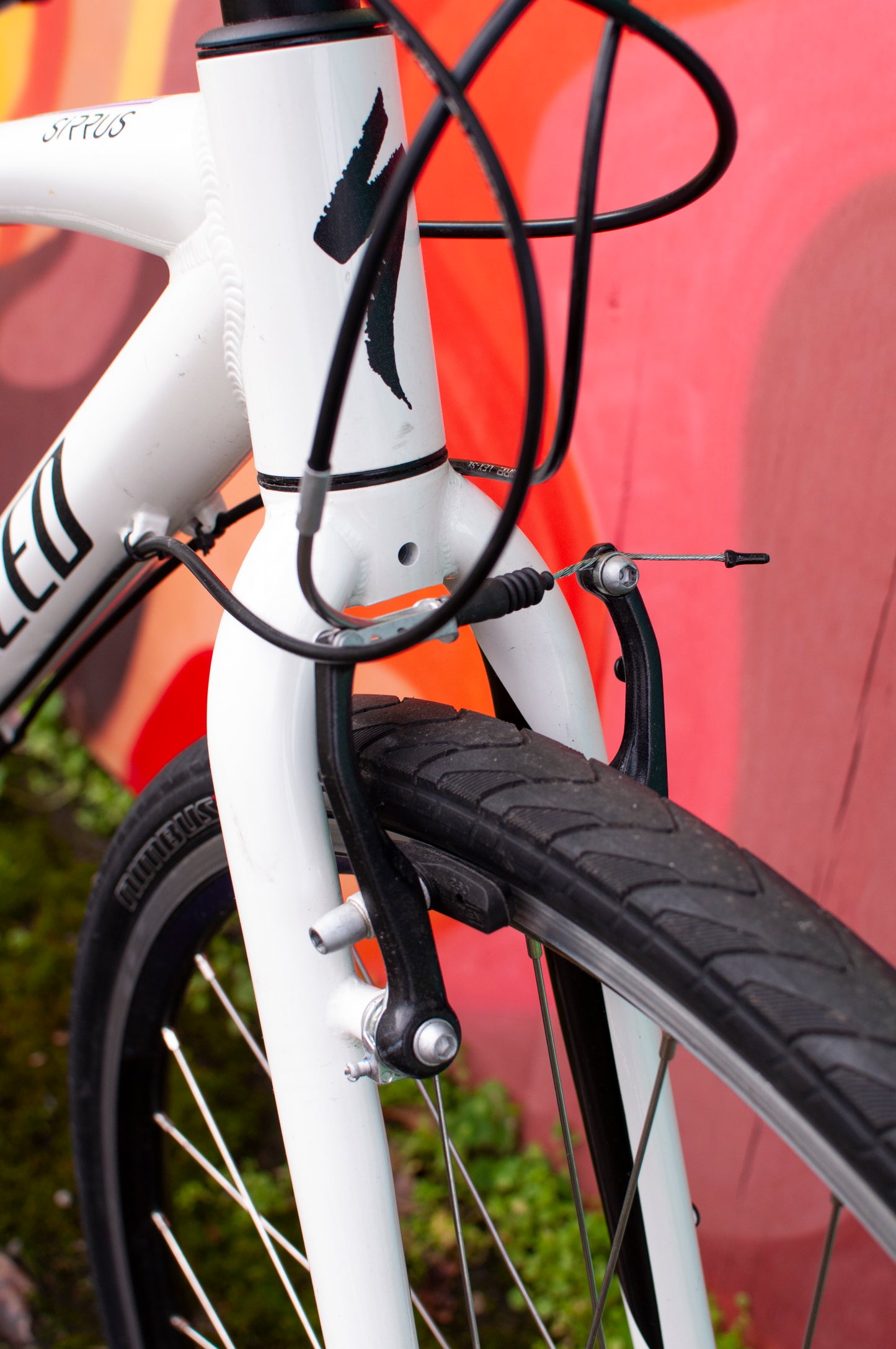 2019 Specialized Sirrus flat bar hybrid bike, White, Women's XS