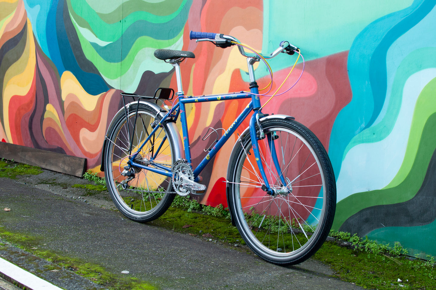 1999 Georgena Terry Flora Commuter Bike, Blue with colorful flowers, 41cm/S