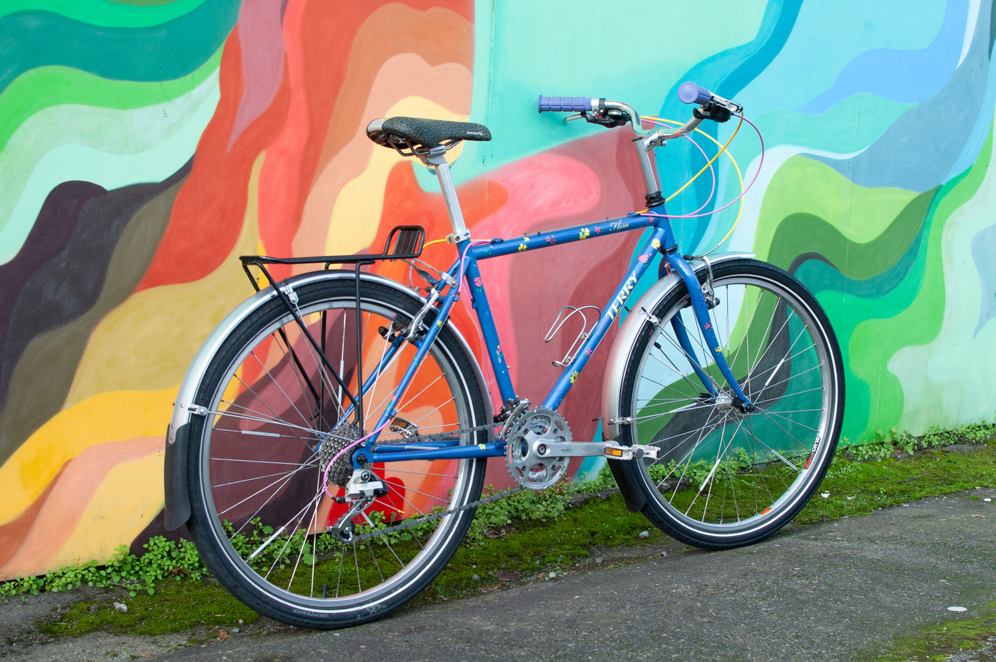 1999 Georgena Terry Flora Commuter Bike, Blue with colorful flowers, 41cm/S