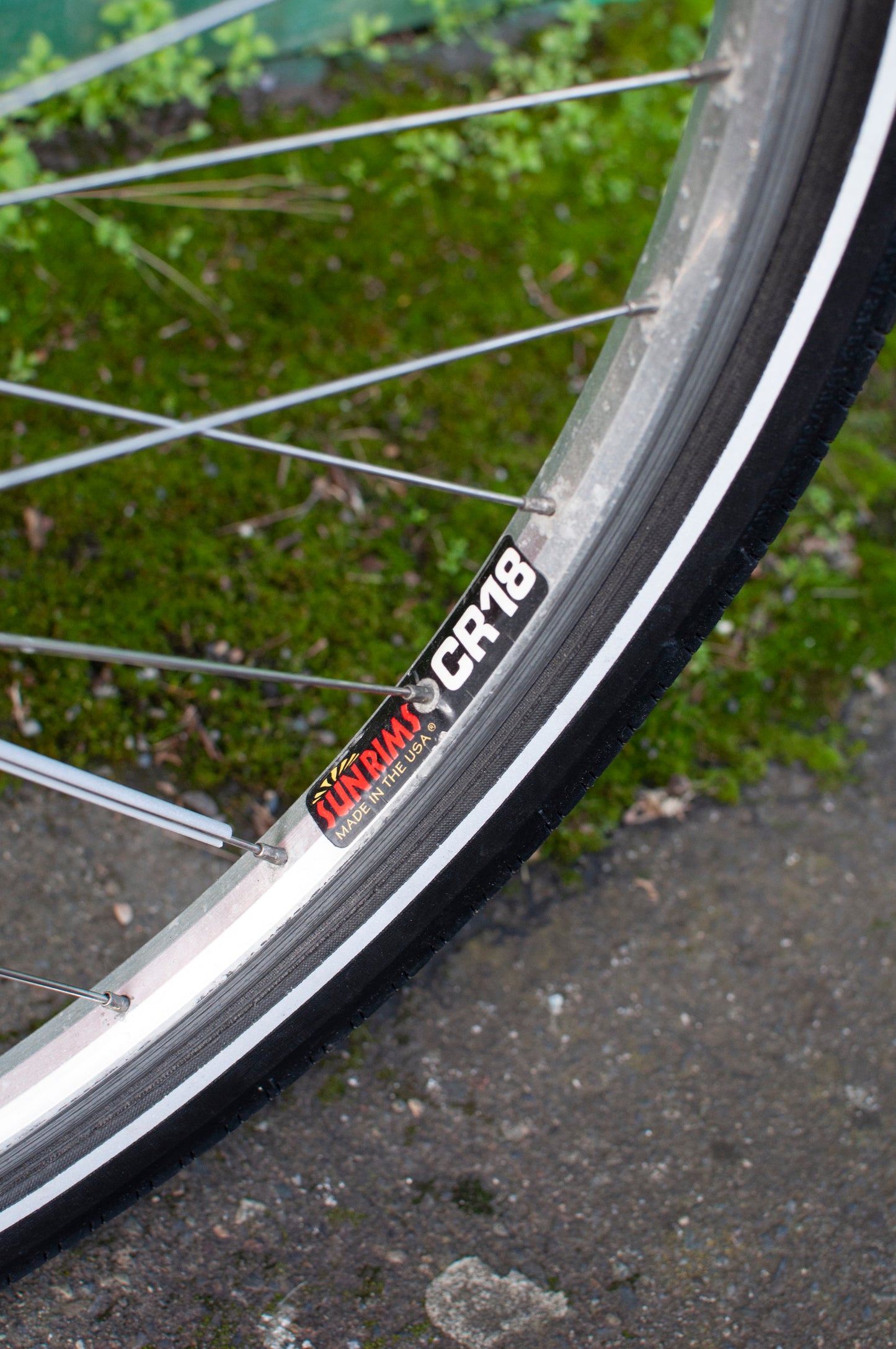 1999 Georgena Terry Flora Commuter Bike, Blue with colorful flowers, 41cm/S