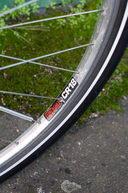 1999 Georgena Terry Flora Commuter Bike, Blue with colorful flowers, 41cm/S