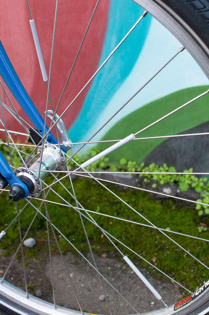 1999 Georgena Terry Flora Commuter Bike, Blue with colorful flowers, 41cm/S