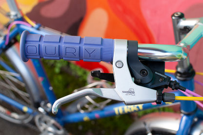 1999 Georgena Terry Flora Commuter Bike, Blue with colorful flowers, 41cm/S