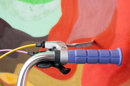 1999 Georgena Terry Flora Commuter Bike, Blue with colorful flowers, 41cm/S