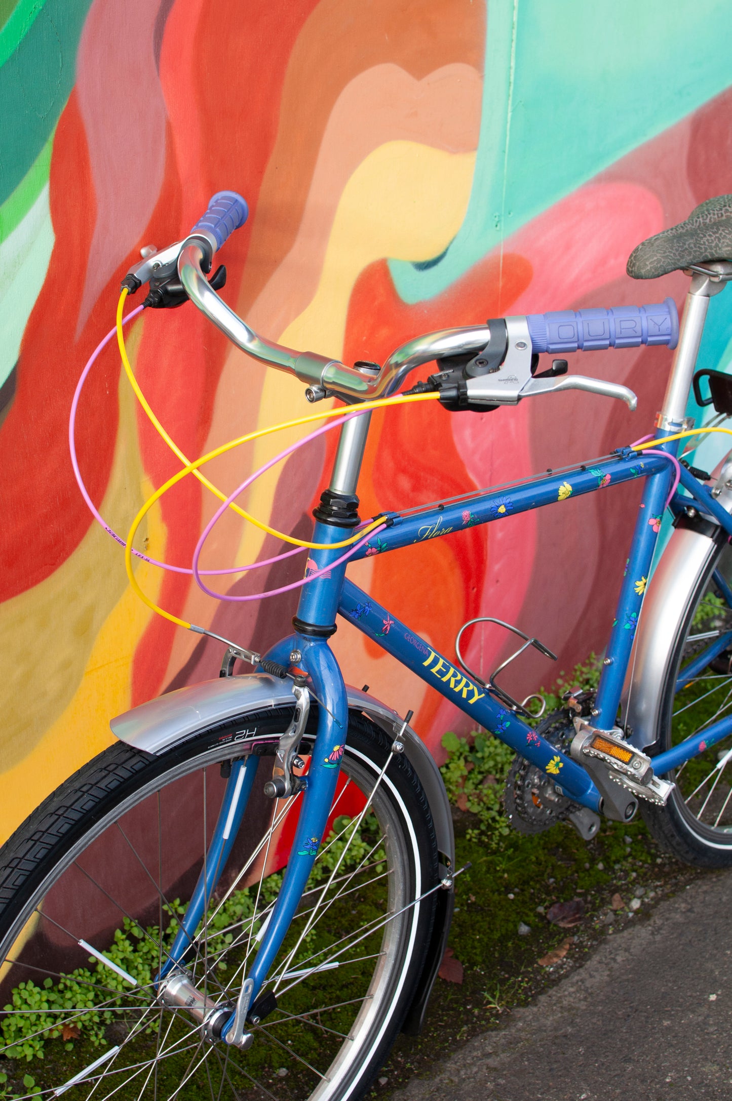 1999 Georgena Terry Flora Commuter Bike, Blue with colorful flowers, 41cm/S