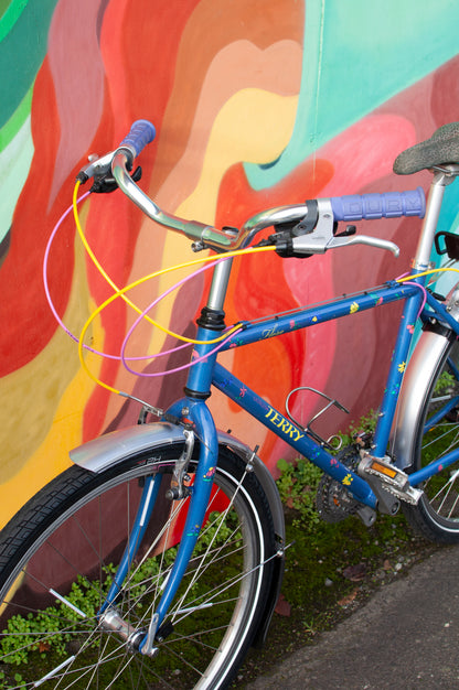 1999 Georgena Terry Flora Commuter Bike, Blue with colorful flowers, 41cm/S