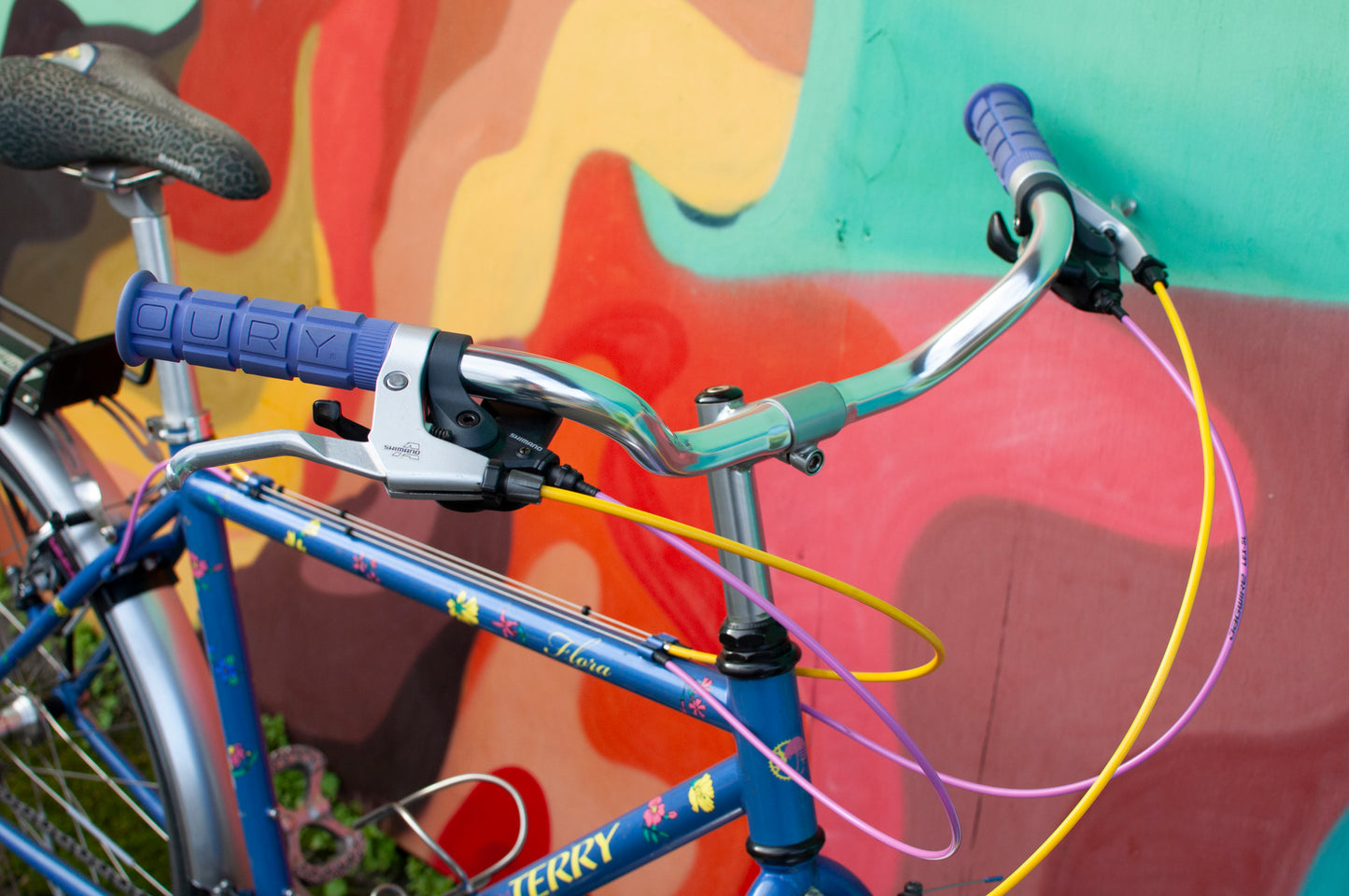 1999 Georgena Terry Flora Commuter Bike, Blue with colorful flowers, 41cm/S