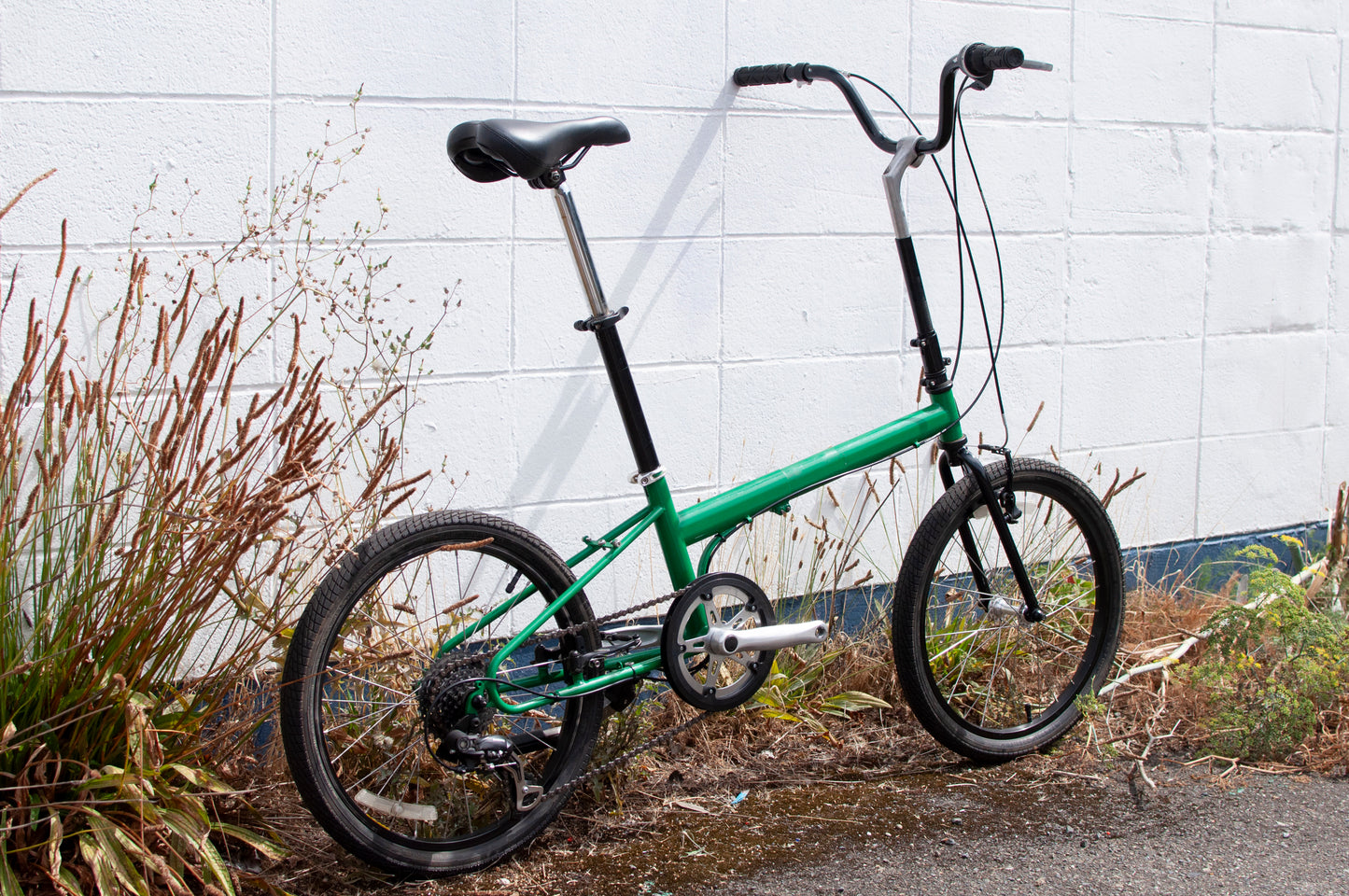 Bike Friday OSATA adjustable size mini velo, green, made in Eugene, OR