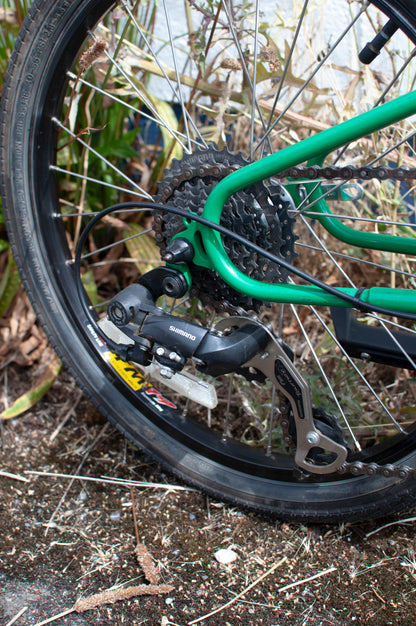 Bike Friday OSATA adjustable size mini velo, green, made in Eugene, OR