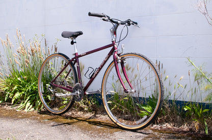 1996 Gary Fisher Zebrano All-Arounder Bike, made in USA, 38cm/XS, Dark Red