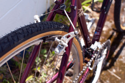 1996 Gary Fisher Zebrano All-Arounder Bike, made in USA, 38cm/XS, Dark Red