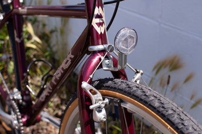 1996 Gary Fisher Zebrano All-Arounder Bike, made in USA, 38cm/XS, Dark Red