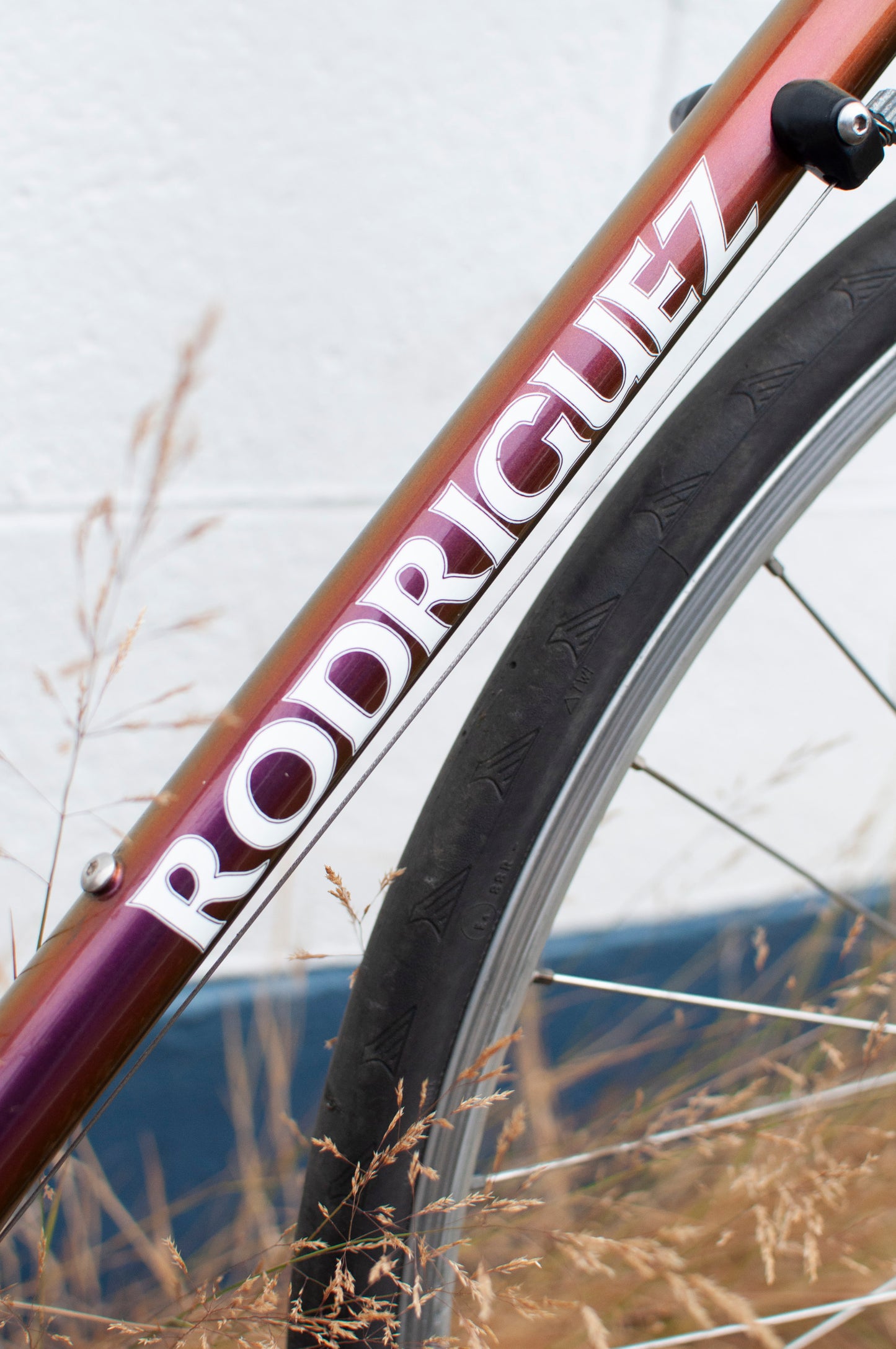 Rodriguez Road Bike with Campagnolo Veloce Groupset, Iridescent Purple, 51cm