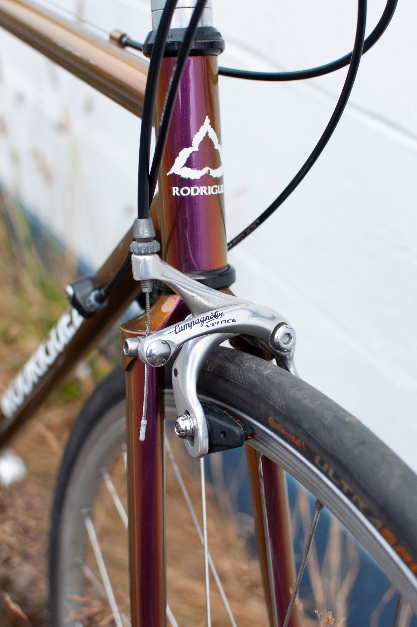Rodriguez Road Bike with Campagnolo Veloce Groupset, Iridescent Purple, 51cm