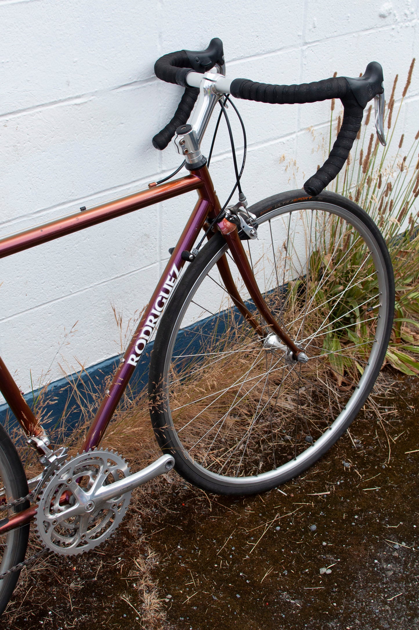 Rodriguez Road Bike with Campagnolo Veloce Groupset, Iridescent Purple, 51cm