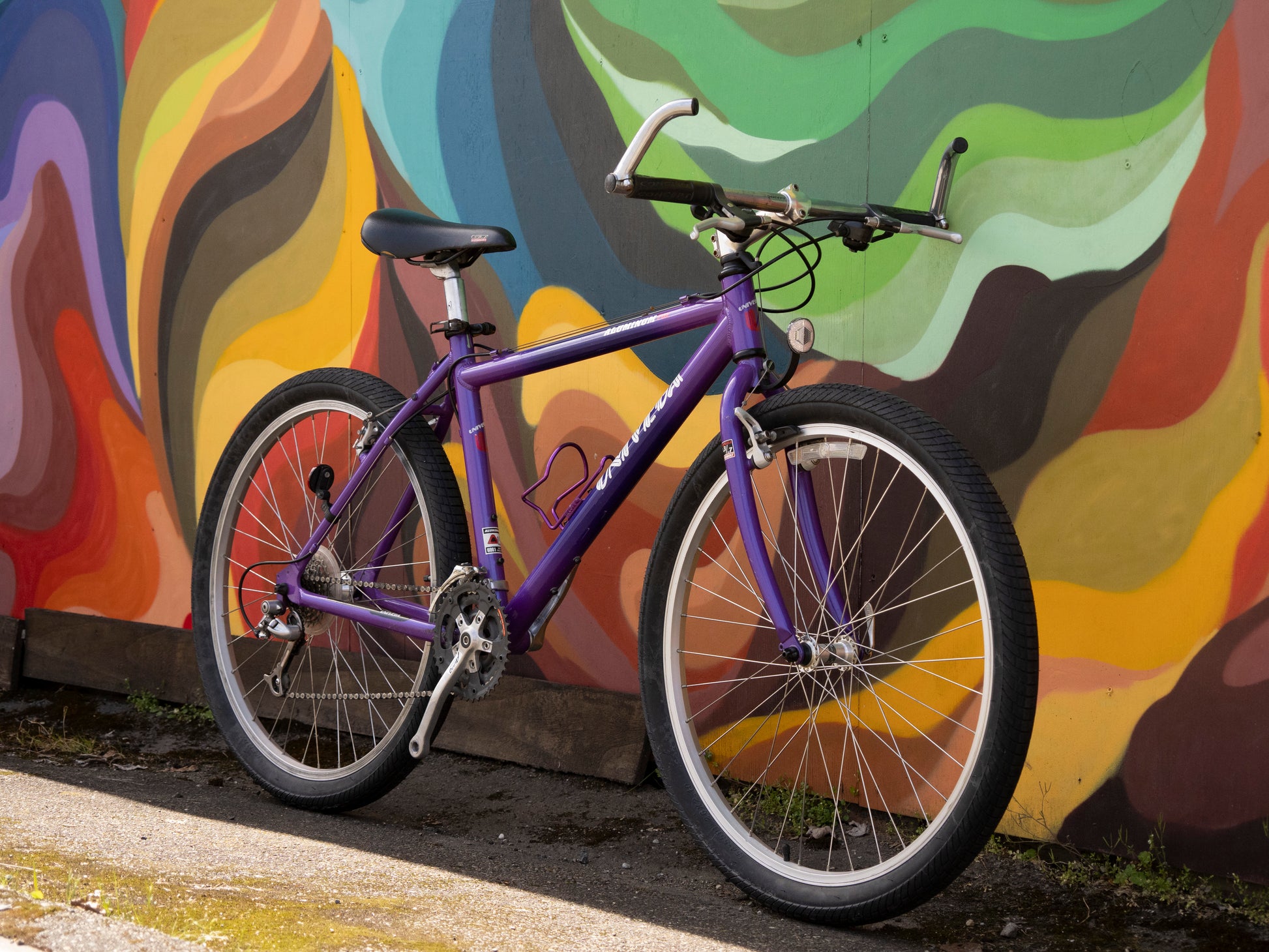 Univega Aluminum 701 All-Terrain Bike, purple, 43cm/XS – Cycle