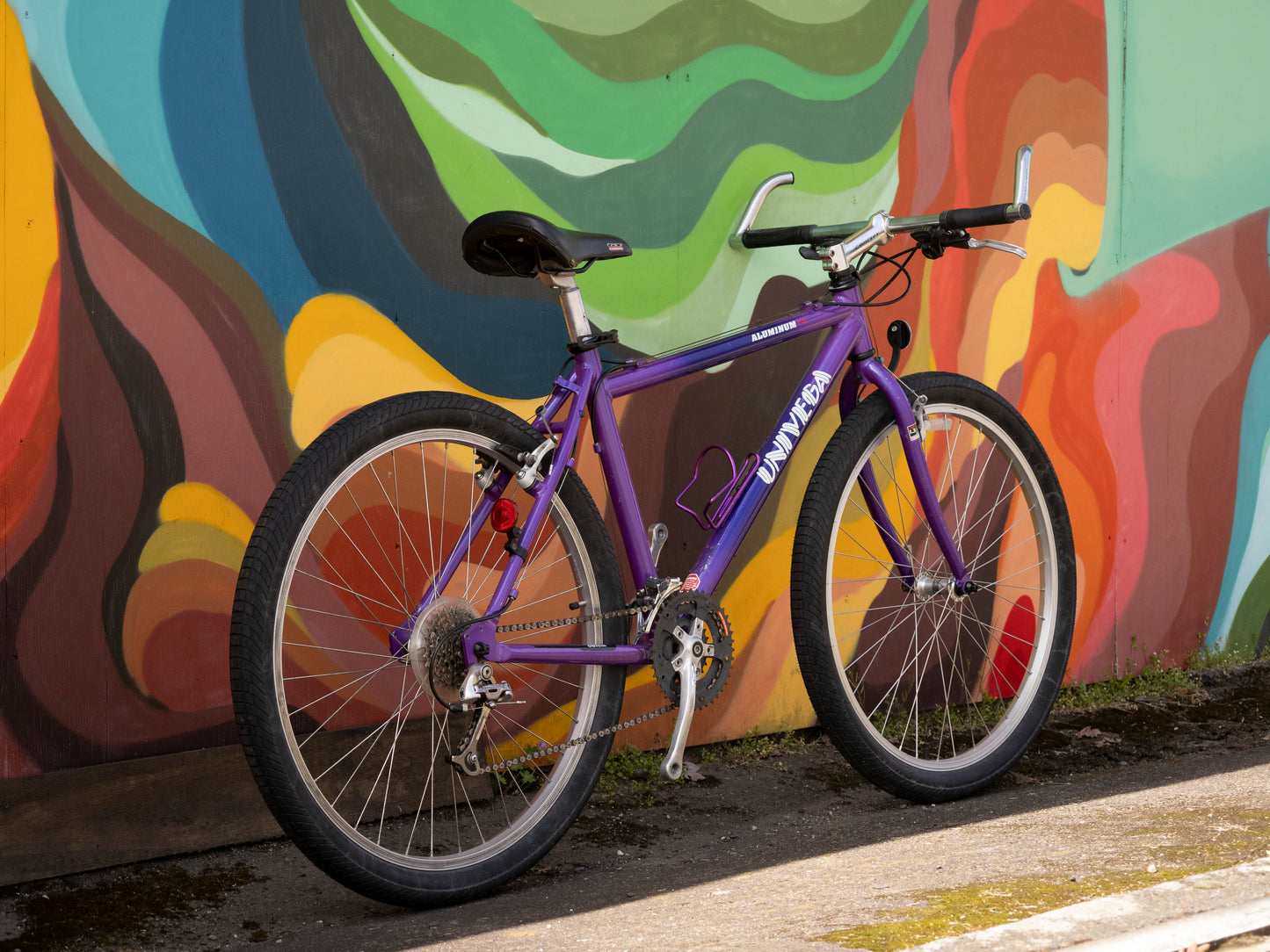 Univega Aluminum 701 All-Terrain Bike, purple, 43cm/XS